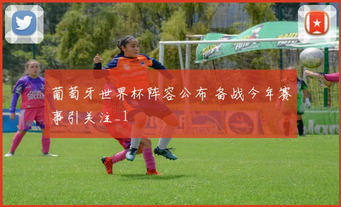 葡萄牙世界杯阵容公布 备战今年赛事引关注_1