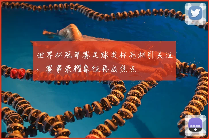 世界杯冠军赛足球奖杯亮相引关注，赛事荣耀象征再成焦点