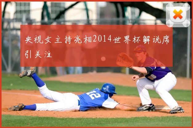 央视女主持亮相2014世界杯解说席引关注
