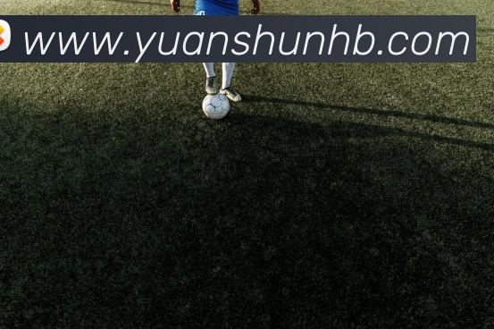 对战数据统计
