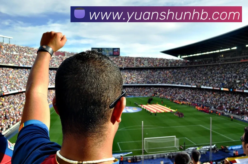 球赛押注app官网APP 高清赛事图